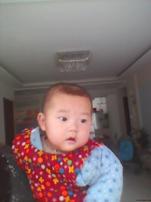紫程招聘